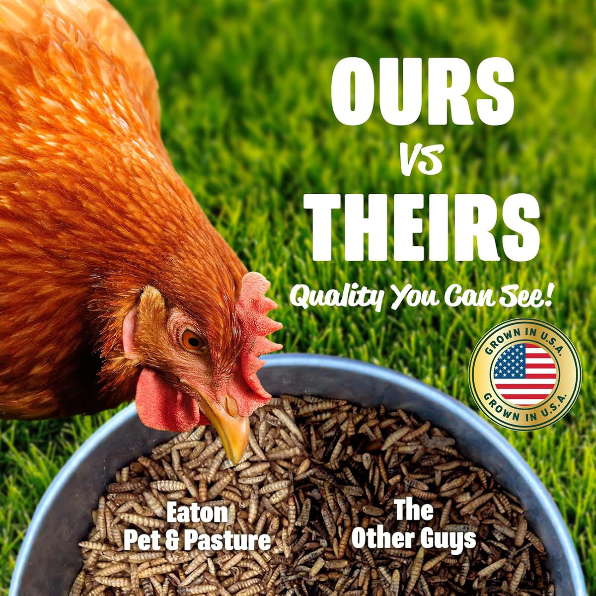 Eaton Pet and Pasture Premium Grubs, USA Grown Dried Black Soldier Fly Larvae, High Calcium Treat