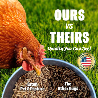 Eaton Pet and Pasture Premium Grubs, USA Grown Dried Black Soldier Fly Larvae, High Calcium Treat