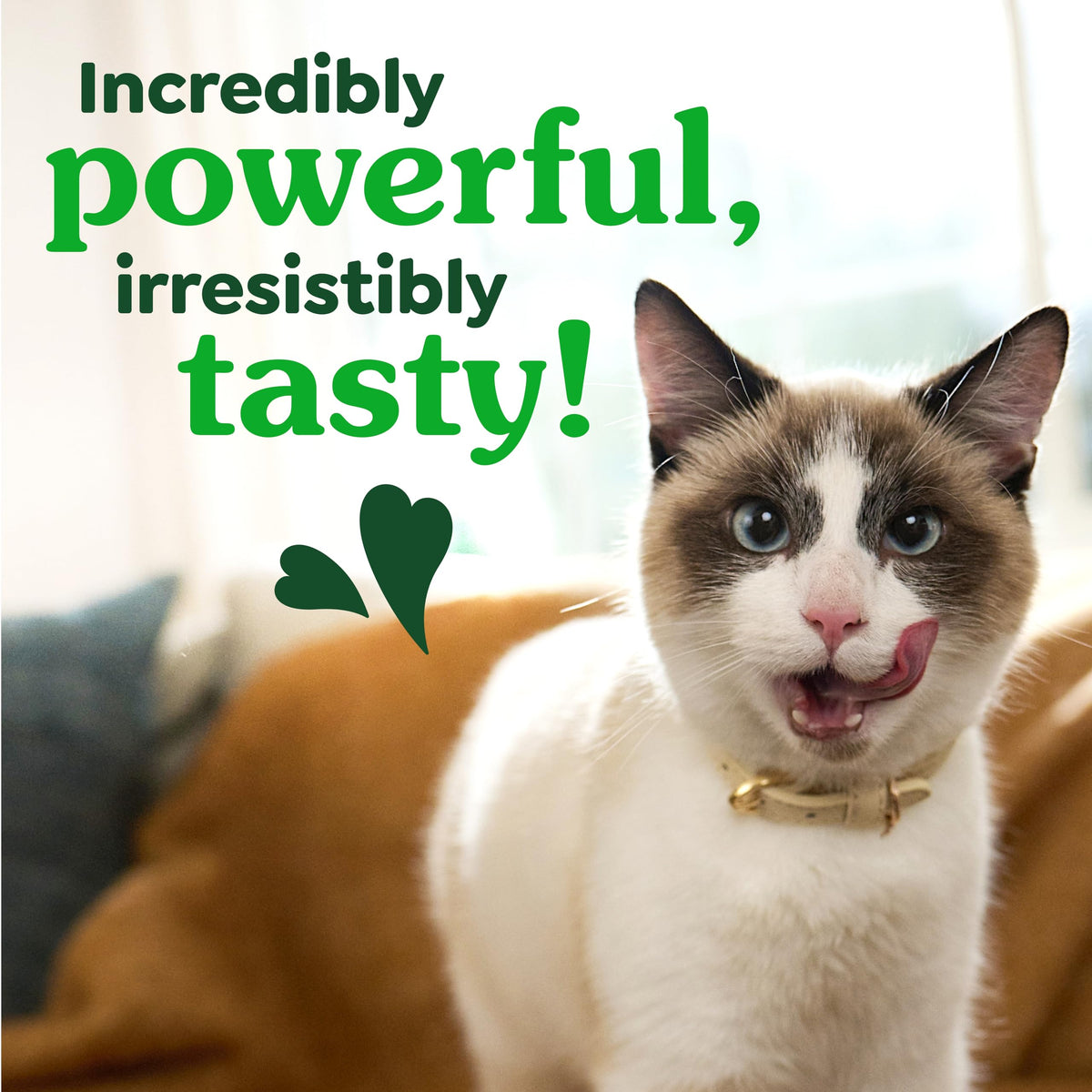 Greenies Feline Natural Crunchy Dental Cat Treats. Chosen for real quality, fits naturally into