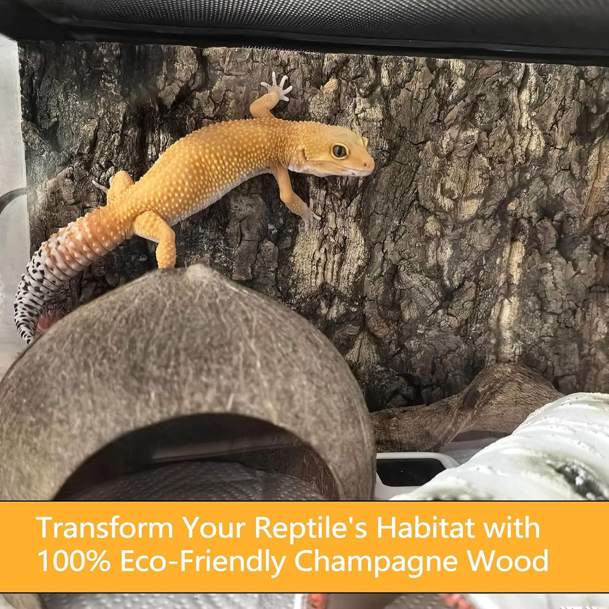 BNOSDM 4pcs Reptile Cork Bark Terrarium Background Bearded Dragon Tank Decor for Lizard Bearded