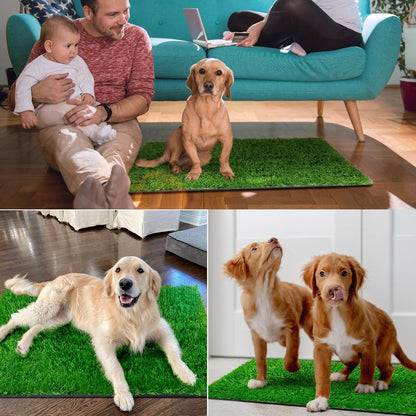 Pee Pads for Dogs with Fake Grass, 27" x 21" Indoor Artificial Grass for Dogs Potty, Lawn Pee Pads