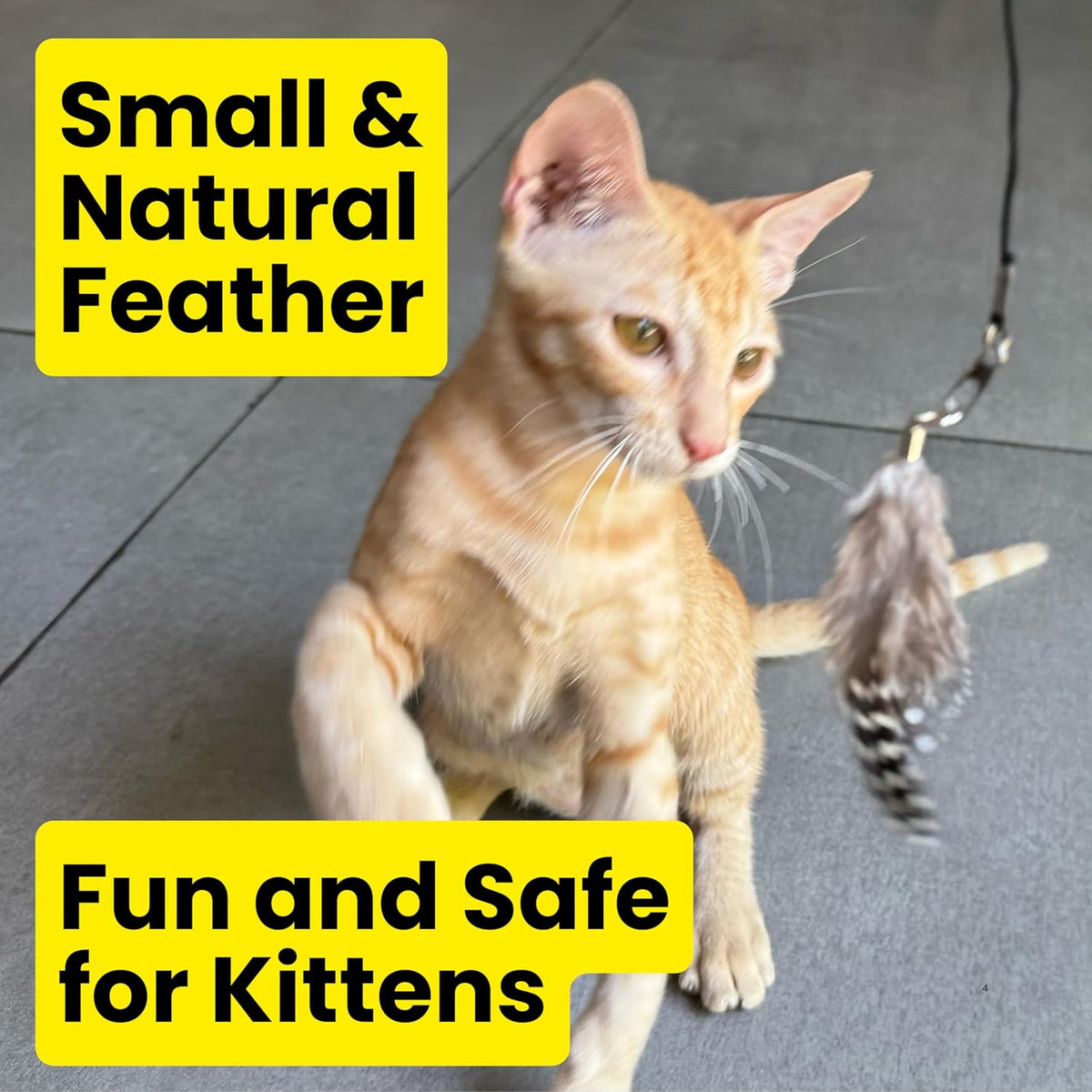 Feather Toys Replacements (3 Pc) - Cat Toys & Kitten Toys for Indoor Kittens, Set of Replacement