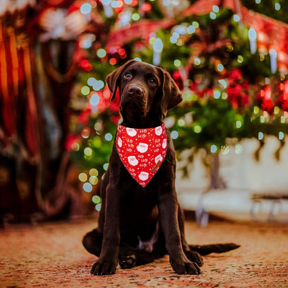 ADOGGYGO Christmas Dog Bandanas, Snowman Santa Xmas Pet Scarf, Multi Size Offered, Red Green
