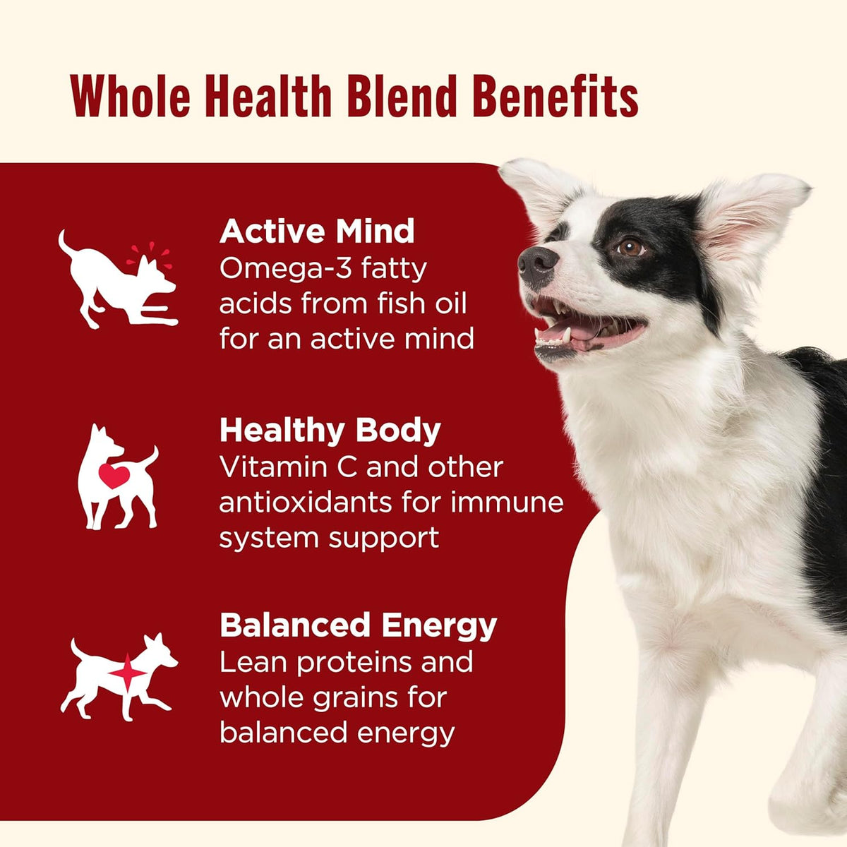 Nutrish Dry Dog Food, Real Beef, Pea & Brown Rice Recipe Whole Health Blend for Adult Dogs, 28 lb.