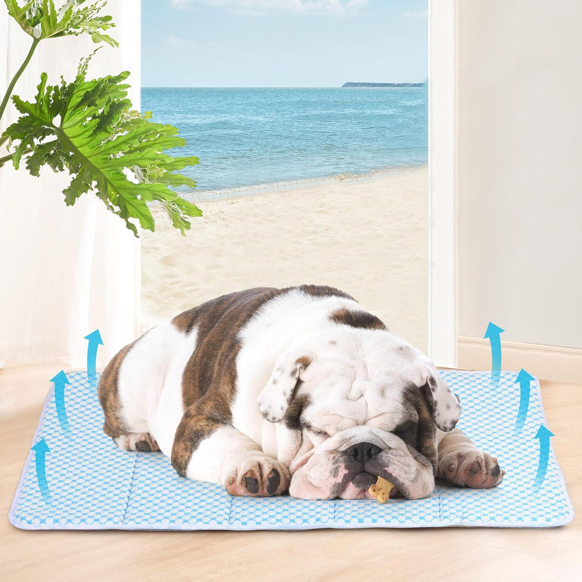 Dog Cooling Mat for Medium Dogs - 30x20 Orthopedic Memory Foam Pet Pad for Summer, QMAX>0.5