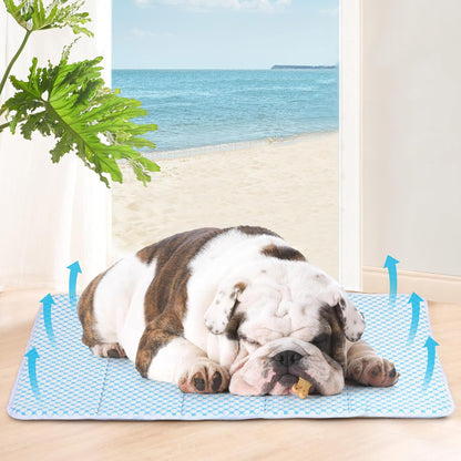 Dog Cooling Mat for Medium Dogs - 30x20 Orthopedic Memory Foam Pet Pad for Summer, QMAX>0.5