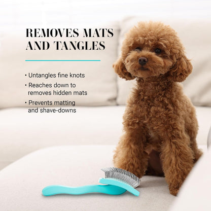Chris Christensen Big G Dog Slicker Brush for Dogs (Goldendoodles, Labradoodles, Poodles), Groom