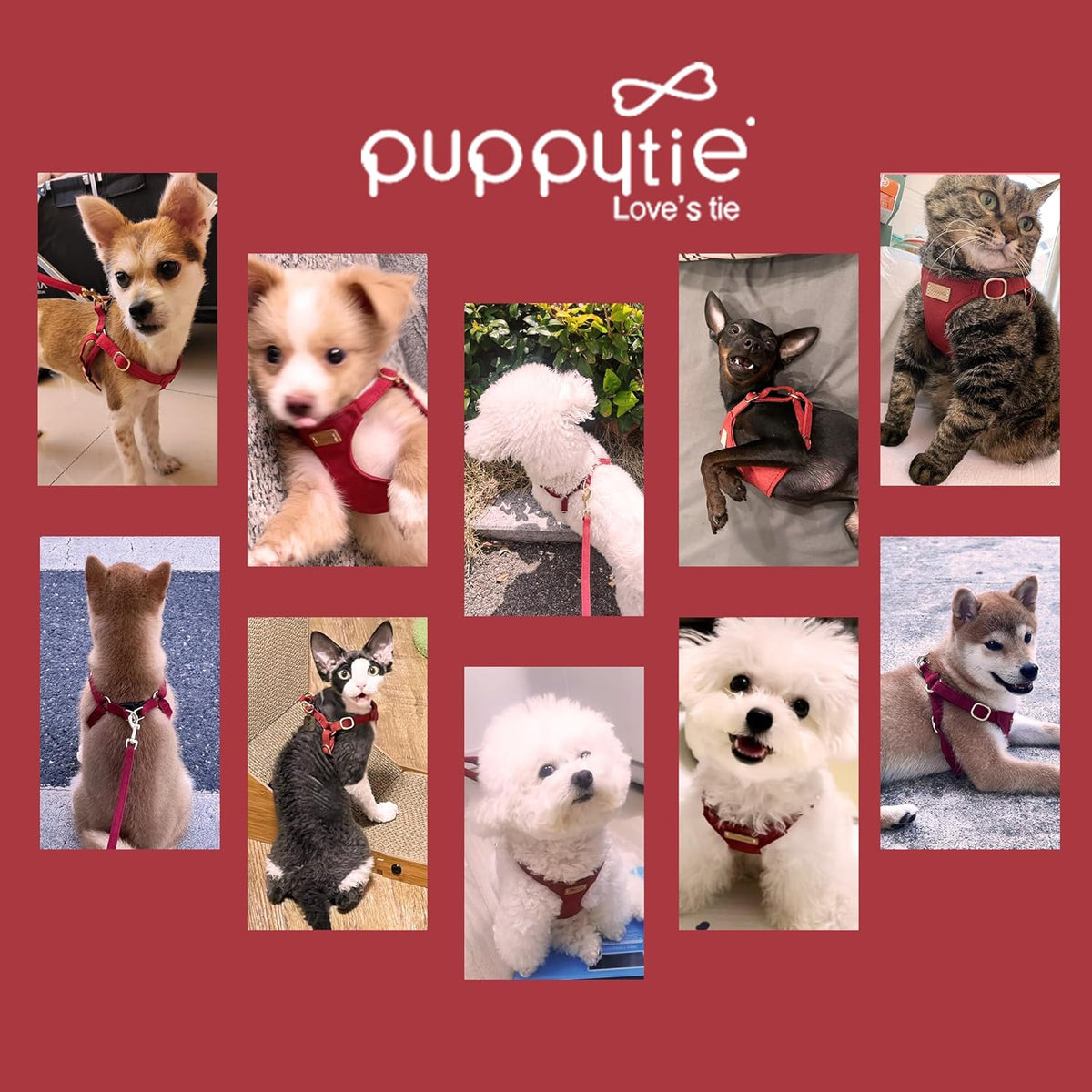 Puppytie No Pull Small Dog Harness with Multifunction Dog Leash,Lightweight Soft Adjustable No