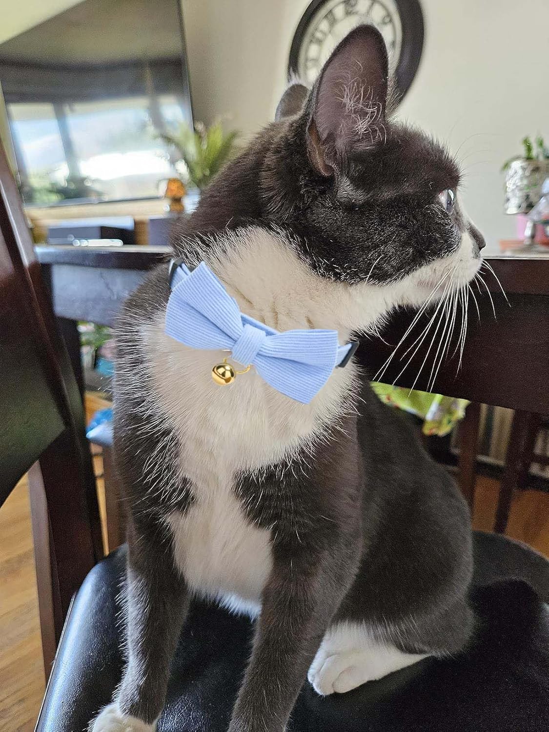 2 Pack Soft Corduroy Cat Collars with Bow Tie & Bell, Adjustable Breakaway Cotton Kitty Bowtie