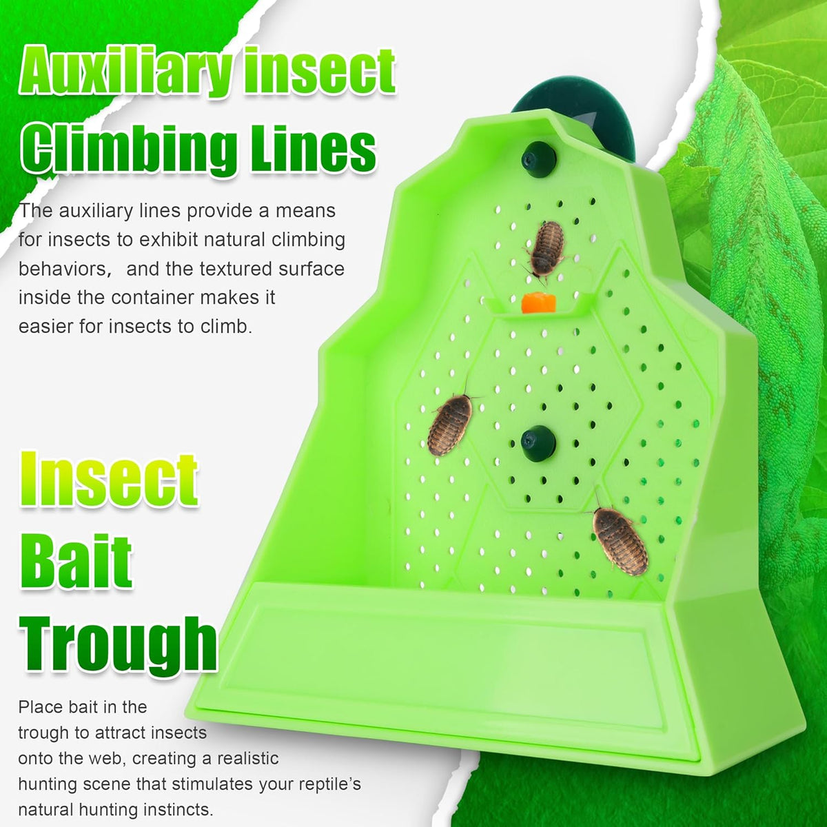 Reptile Anti-Escape Feeding Bowl, Wall-Mounted Feeder for Reptile, Stimulate Hunting Accessories