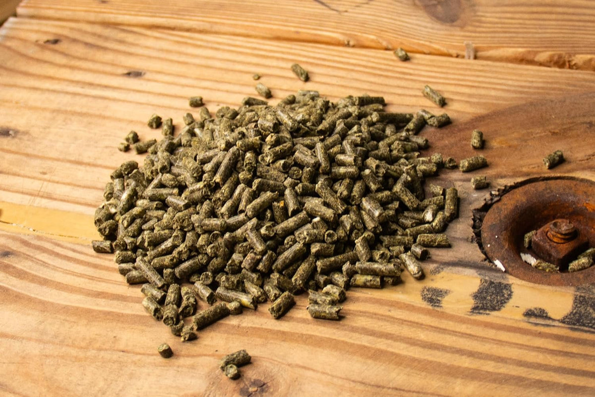 New Country Organics | Loyalty Senior Horse Pellets for Horses 15+ Years Old | Corn-Free and