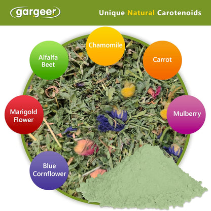 All Reptiles Color Enhancer. Magnify Vibrant Colors, and Boost Health with Much Needed Minerals and