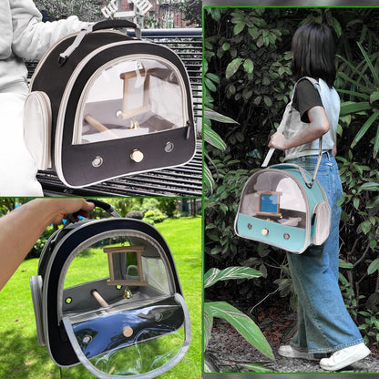 Portable Parrot Travel Cage Carrier with Small Swing Toy&Cage Colorful Toys Set Small Bird Parakeet