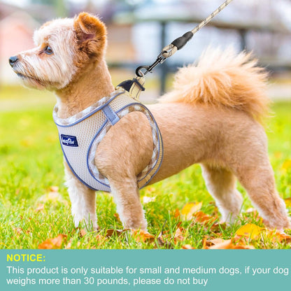 haapaw Dog Harness with Leash Set, No Pull Adjustable Reflective Step-in Puppy Harness with