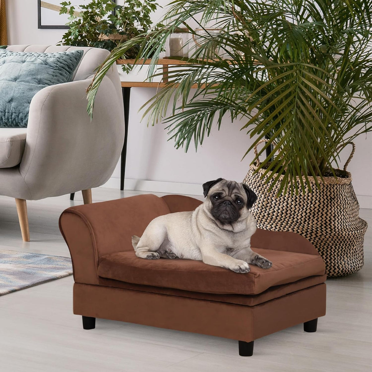 PawHut Luxury Fancy Dog Couch with Hidden Storage, Small Dog Sofa Bed with 2" Soft Foam, Modern Pet