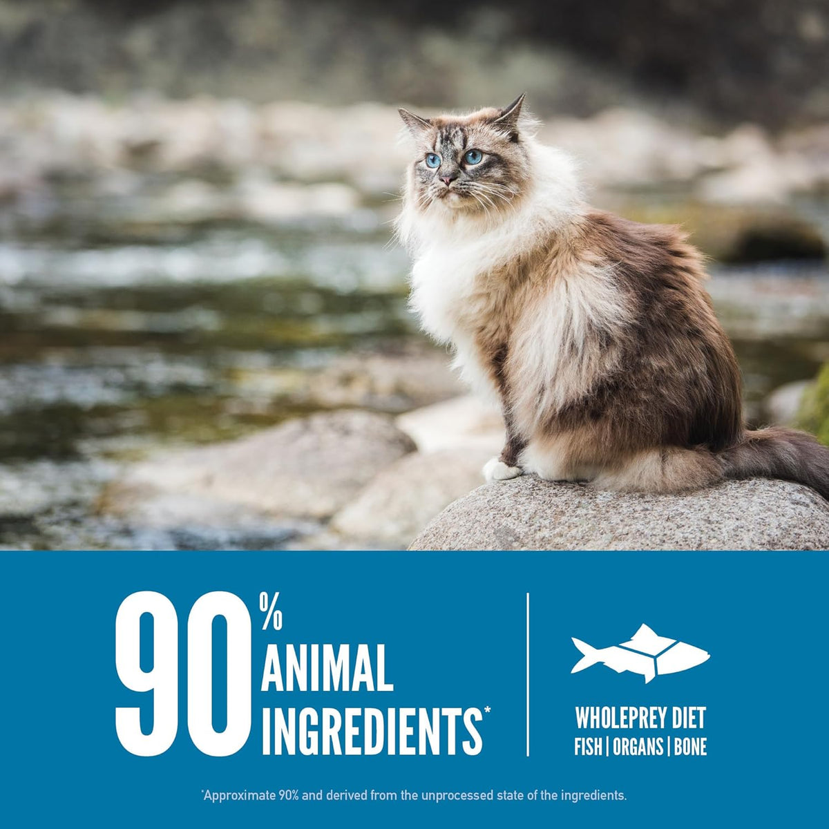 ORIJEN Grain Free High Protein Premium Dry Cat Food Six Fish Recipe 7lb Bag