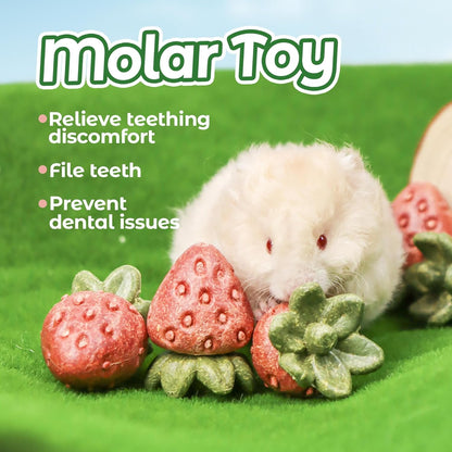 TEEWY 4PCS Hamster Chew Toys, Guinea Pig Chew Toys for Teeth with Natural Vegetables and Timothy