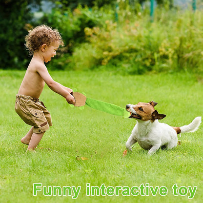 Dog Squeak Toys Dogs Enrichment Treat Dispensing Puzzle Toys Interactive Dog Toys for Large Medium