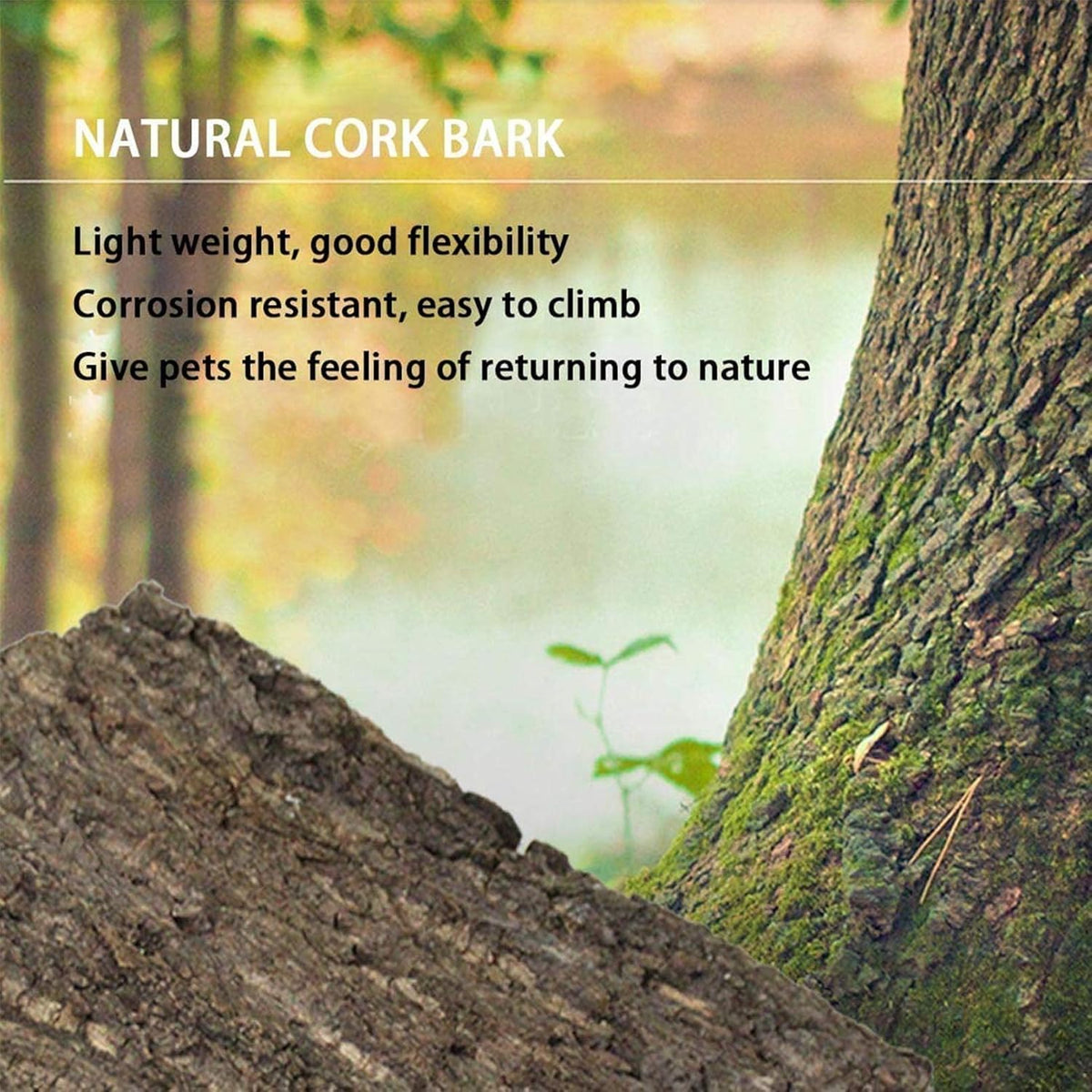 2PCS Cork Terrarium Background 15.7x11.8in Natural Cork Large Bark Backdrop Reptile Climbing Mat