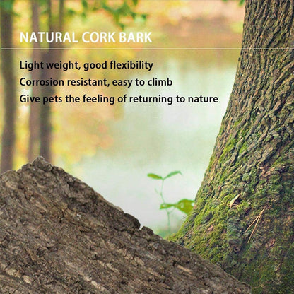 2PCS Cork Terrarium Background 15.7x11.8in Natural Cork Large Bark Backdrop Reptile Climbing Mat