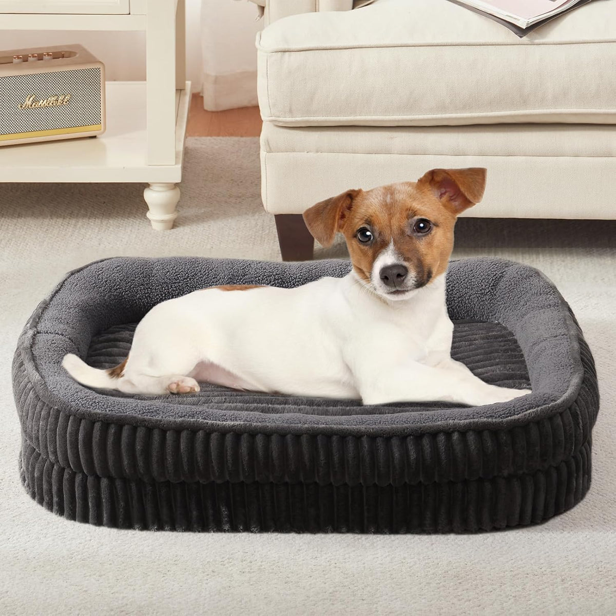 Orthopedic Dog Bed for Small Dogs Breeds, High Density Egg Crate Foam Dog Sofa Beds,Oval Kennel