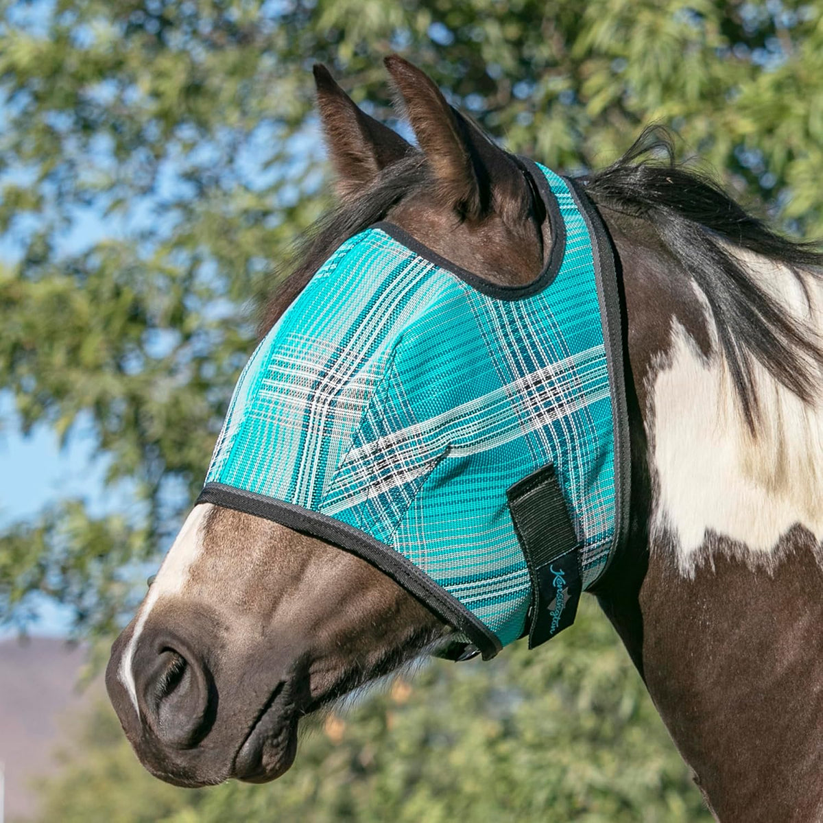 Kensington Fly Mask Web Trim Protects Horses Face and Eyes from Bites and Sun Rays While Allowing