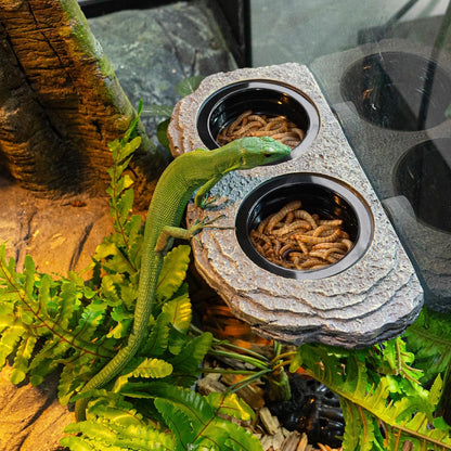 Wacool Magnetic Gecko Ledge - Double Bowl Reptile Feeding Tray with 6 Feeding Cups for Geckos