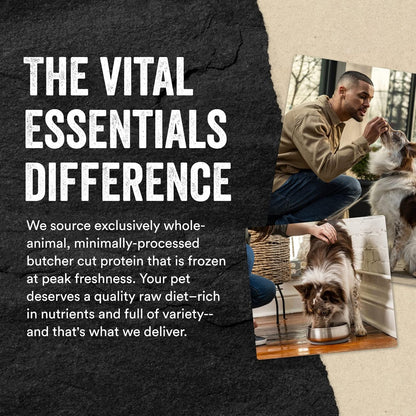 Vital Essentials Beef Liver Dog Treats, 2.1 oz | Freeze-Dried Raw | Single Ingredient | Premium