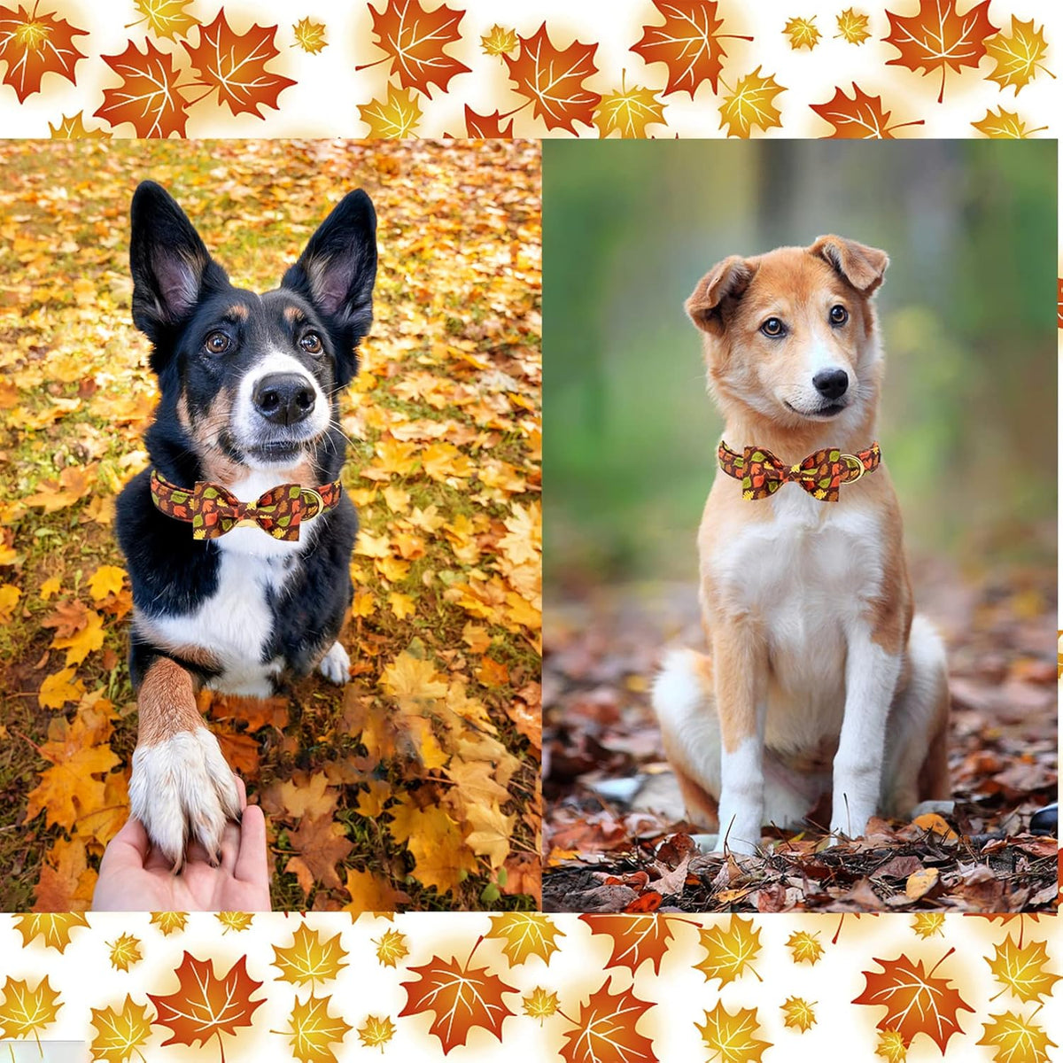 Unique style paws Fall Dog Collar with Bow, Puppy Collar Pet Gift Adjustable Dog Collar Soft and