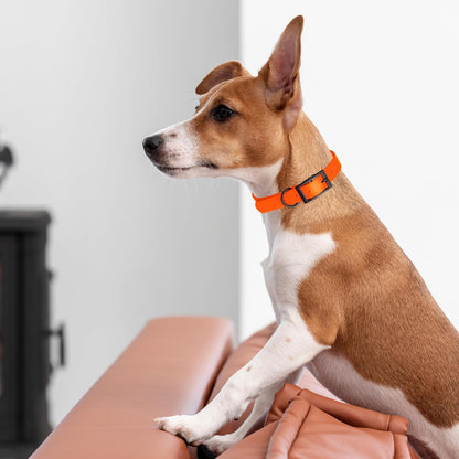 Dogline Biothane Waterproof Dog Collar Strong Coated Nylon Webbing with Black Hardware Odor- Proof