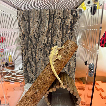 2PCS Natural Cork Terrarium Background,11.81 x 11.81 Inch Reptile Bark Background 3D Bearded Dragon