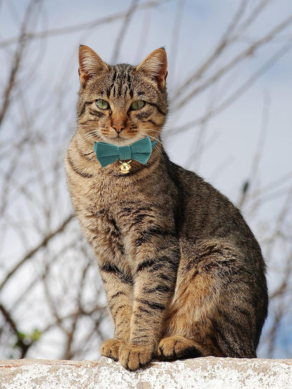 2 Pack Soft Corduroy Cat Collars with Bow Tie & Bell, Adjustable Breakaway Cotton Kitty Bowtie