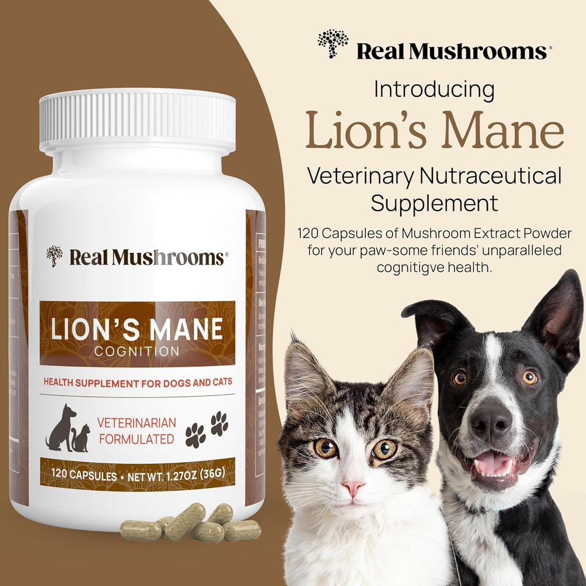 Real Mushrooms Lion’s Mane Pet Mushroom Supplement – Pet Wellbeing Capsules – for Cat & Dog
