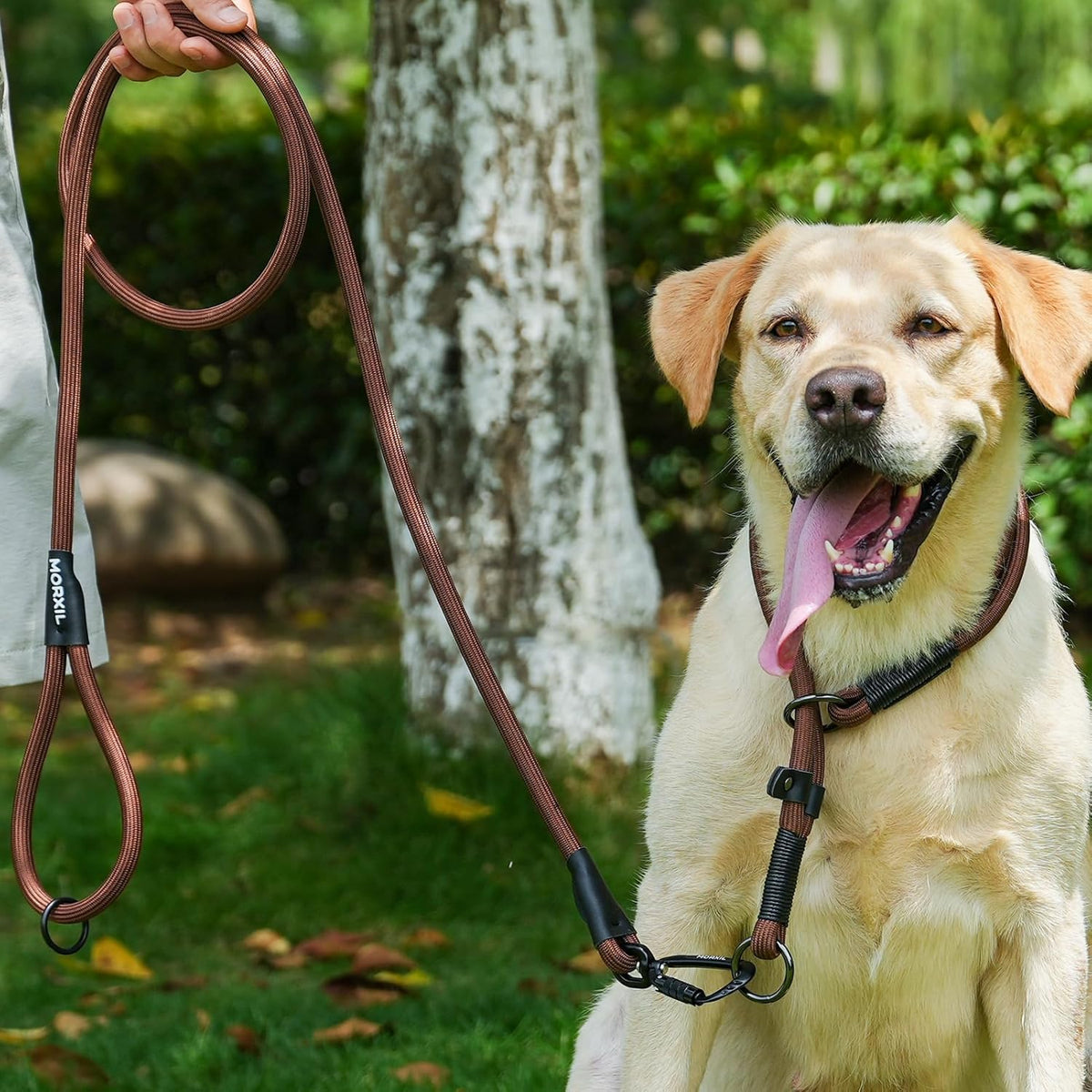Rope Dog Leash, 4 ft Heavy Duty Dog Leash with Aviation Aluminum Auto Locking Carabiner, Strong
