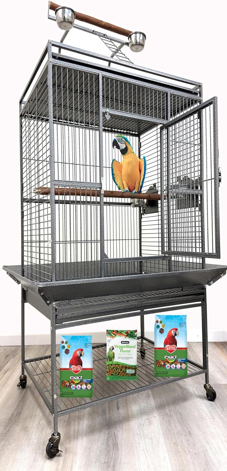 X-Large Elegant and Durable Wrought Iron Play Ground Perch Stand Top Climbing Ladder Bird Parrot