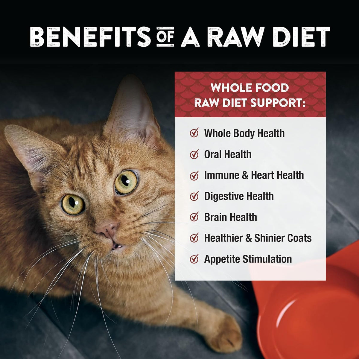 Northwest Naturals Freeze-Dried Beef & Trout Cat & Kitten Food, Bite-Sized Nibbles, Healthy