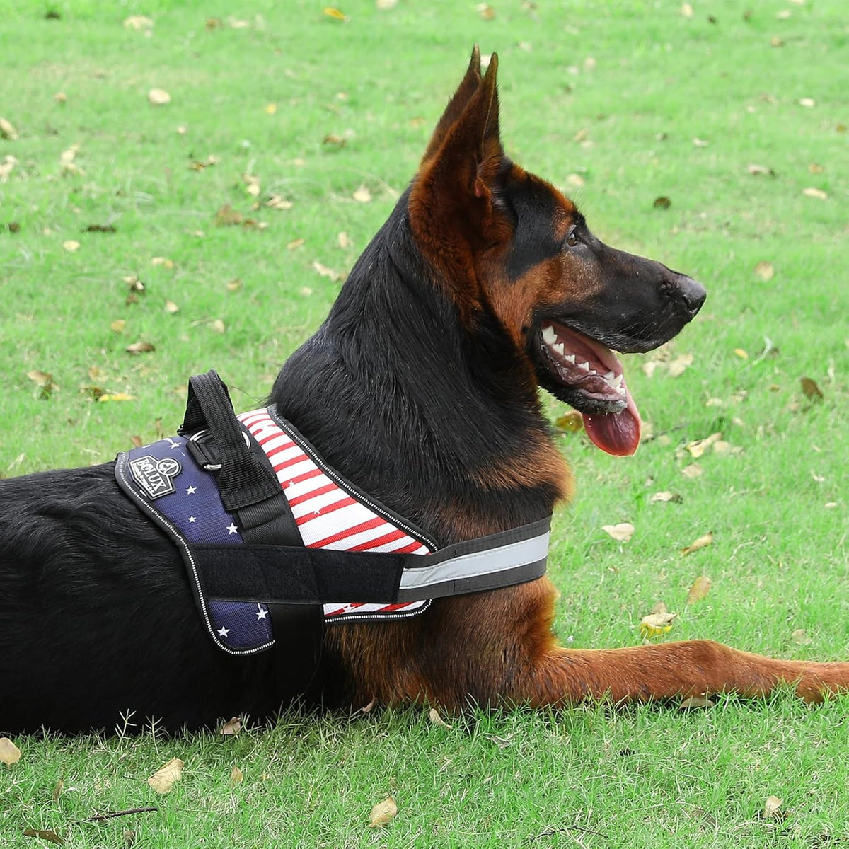 Bolux Dog Harness, No-Pull Reflective Dog Vest, Breathable Adjustable Pet Harness with Handle for