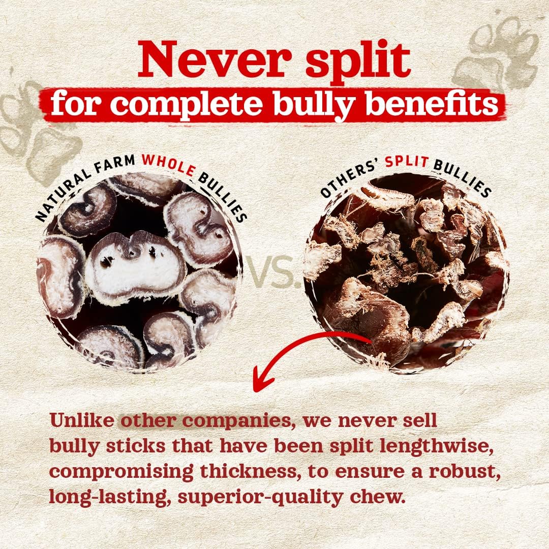 Natural Farm Odor-Free Jumbo Bully Sticks, (6 Inch, 2 Pack), Extra-Thick Chews for Dogs, Fully