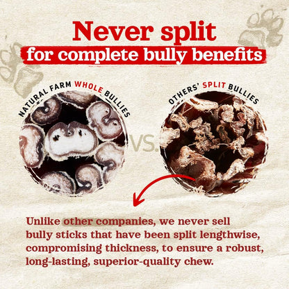 Natural Farm Odor-Free Jumbo Bully Sticks, (6 Inch, 2 Pack), Extra-Thick Chews for Dogs, Fully