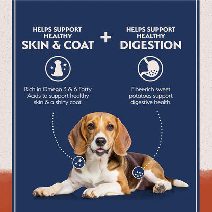 Natural Balance Limited Ingredient Adult Grain-Free Dry Dog Food, Salmon & Sweet Potato Recipe, 4