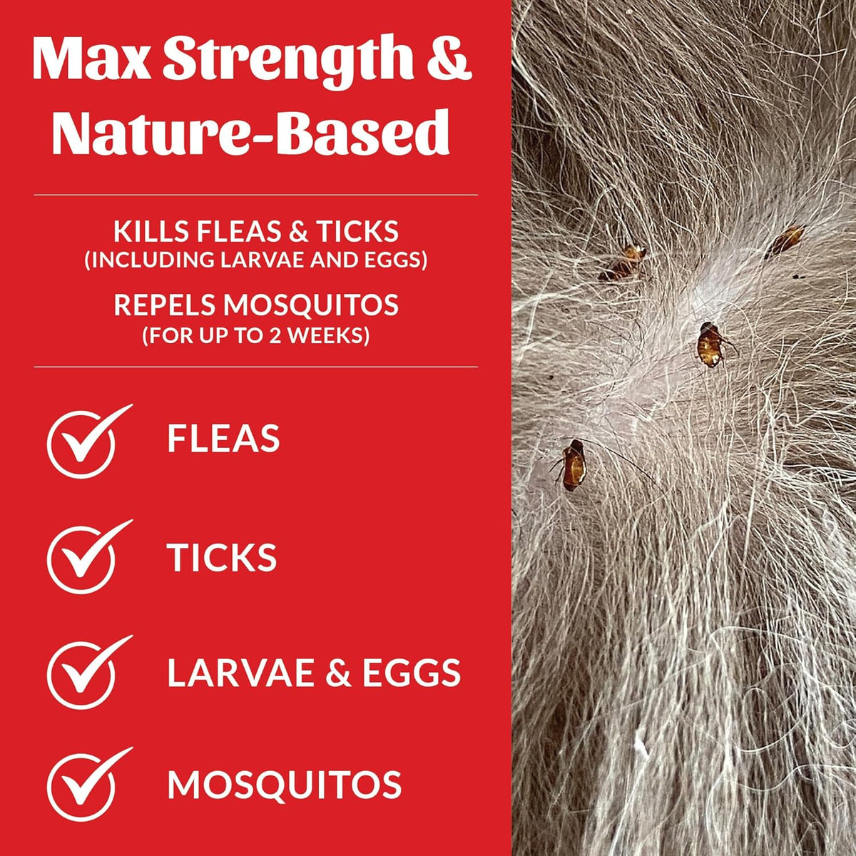 Skout's Honor Flea and Tick Dog & Home Spray - Natural Peppermint & Cedarwood Formula, Helps to