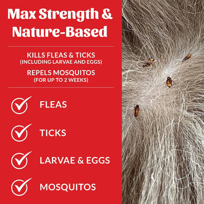 Skout's Honor Flea and Tick Dog & Home Spray - Natural Peppermint & Cedarwood Formula, Helps to