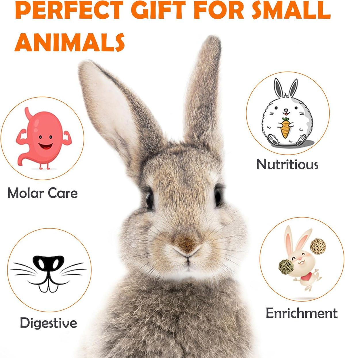 Sofier Timothy Hay Treats Rabbit Toys Bunny Guinea Pig Hamster Natural Chews for Teeth Handmade