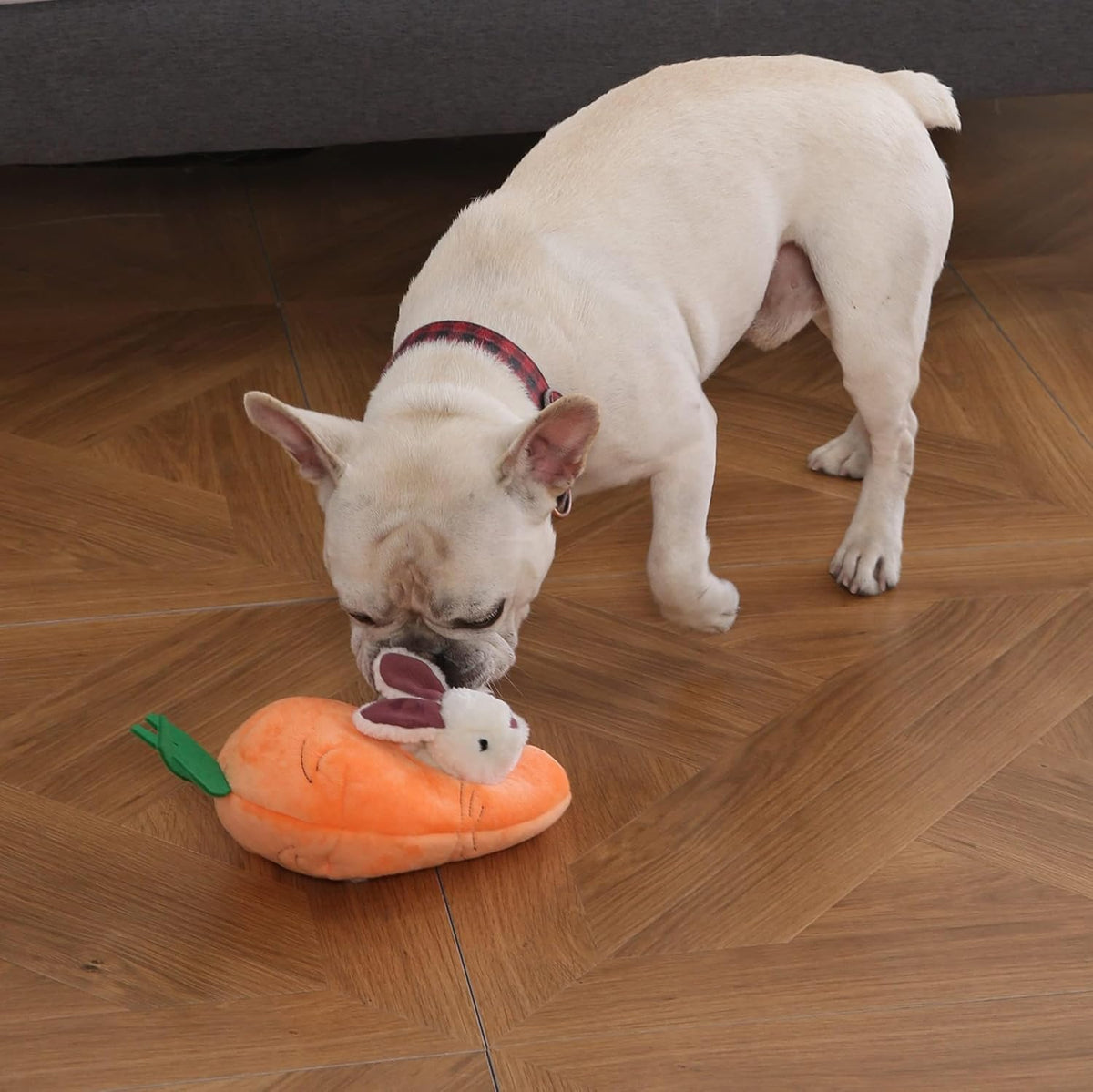 Amazon Basics Interactive Hide and Seek Squeaky Dog Plush Toy, Rabbit and Carrot, Orange and White