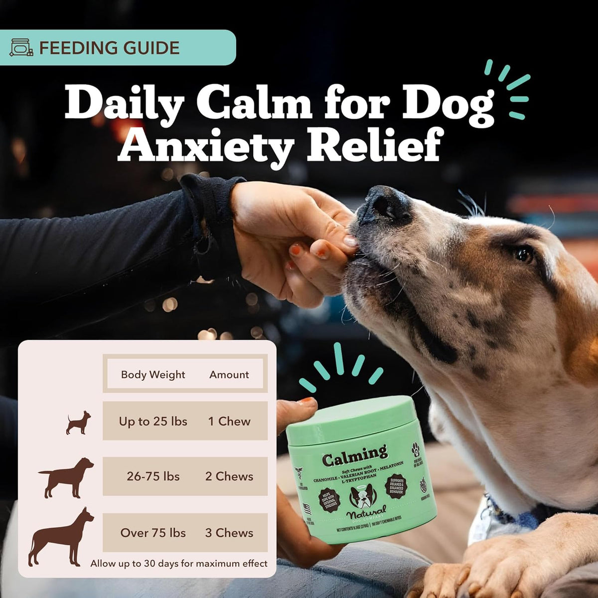 Natural Dog Company Calming Chews for Dogs, Stress & Anxiety Relief Supplement with Chamomile