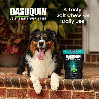 Nutramax Laboratories Dasuquin Joint Health Supplement for Large Dogs - With Glucosamine