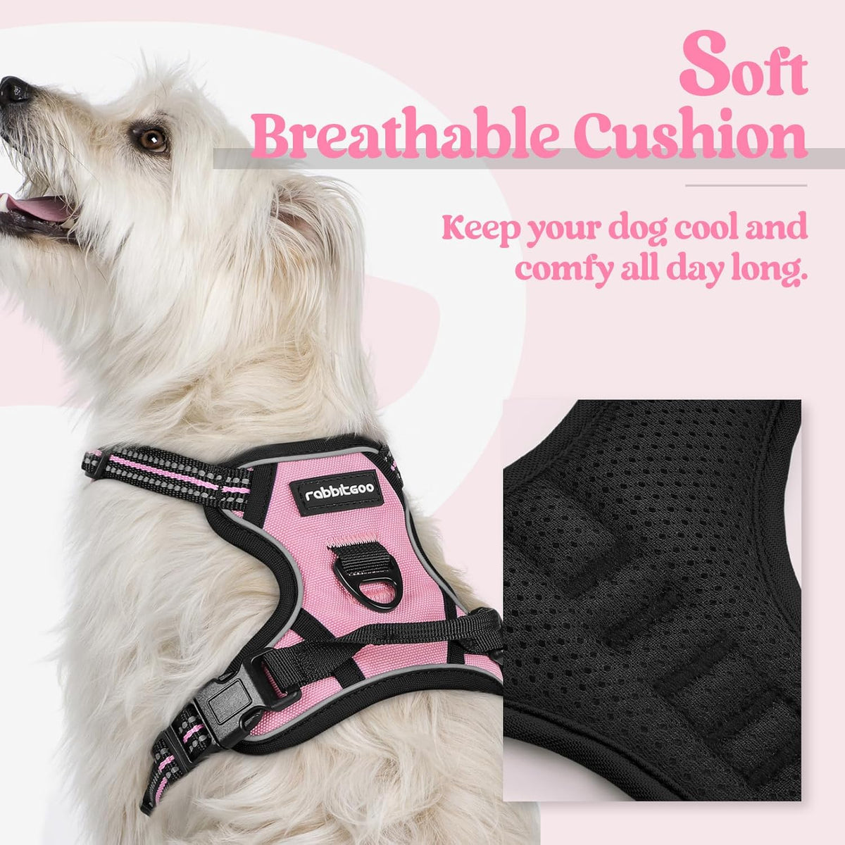 rabbitgoo Dog Harness No Pull with 2 Leash Clips, Adjustable Soft Padded, Reflective Oxford No