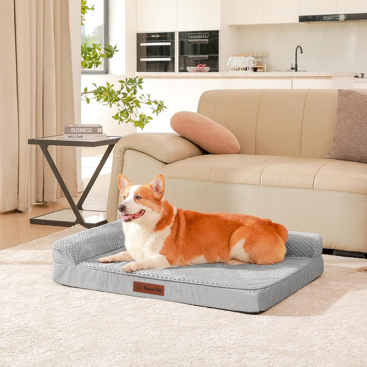 Orthopedic Dog Bed, 3 Inch Memory Foam Dog Beds for Large Dogs, Washable Removable Cover, Nonskid