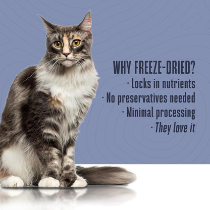 Whole Life Pet Healthy Gut Daily Cat Supplements, Cat Probiotics for Constipation Relief, Anti