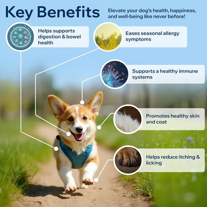 Dog Probiotics for Yeast, Itchy Skin and Itchy Ears, Allergy Relief, Daily Immune Support with